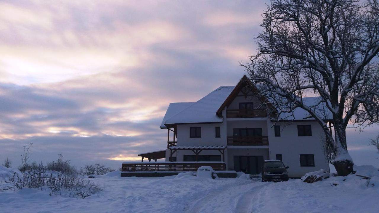 Bed and Breakfast Casa Comilor Surdesti  Zewnętrze zdjęcie
