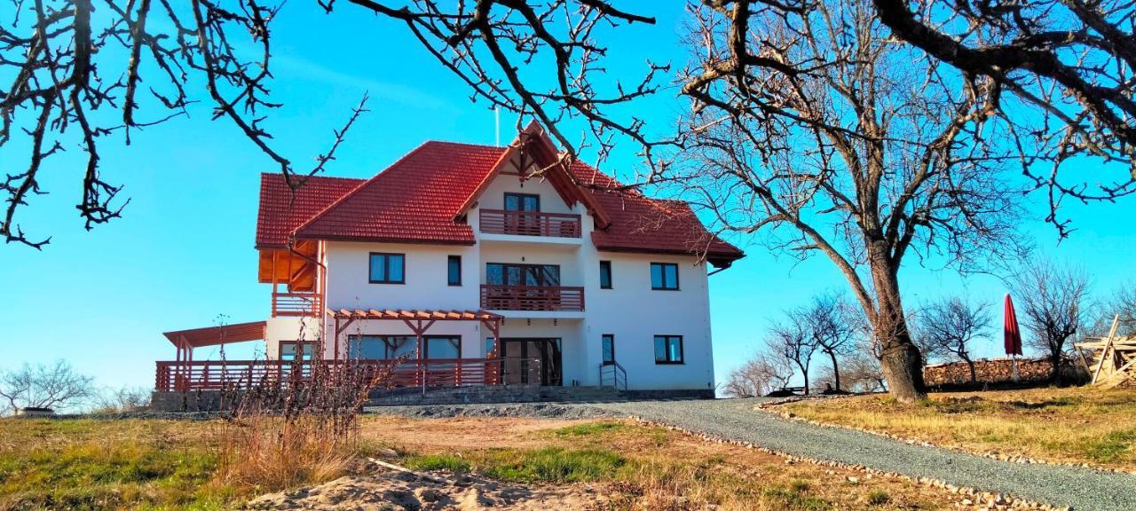 Bed and Breakfast Casa Comilor Surdesti  Zewnętrze zdjęcie