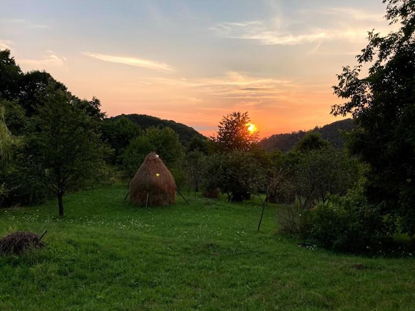 Bed and Breakfast Casa Comilor Surdesti  Zewnętrze zdjęcie